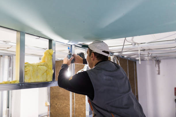 Best Spray Foam Insulation in Redondo Beach, CA