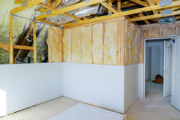 Best Eco-Friendly Insulation in Redondo Beach, CA