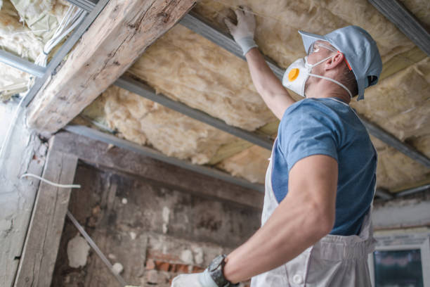 Best Residential Insulation in Redondo Beach, CA
