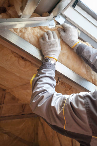 Best Spray Foam Insulation in Redondo Beach, CA